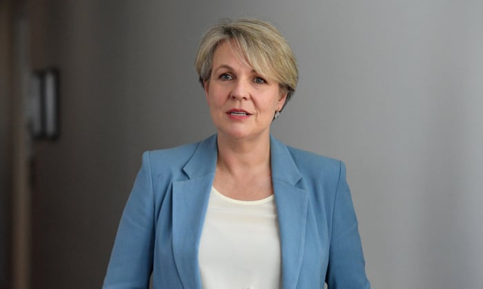 Environment minister Tanya Plibersek