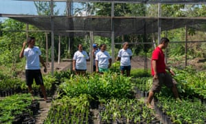 Fruit pulping facility in the Amazon