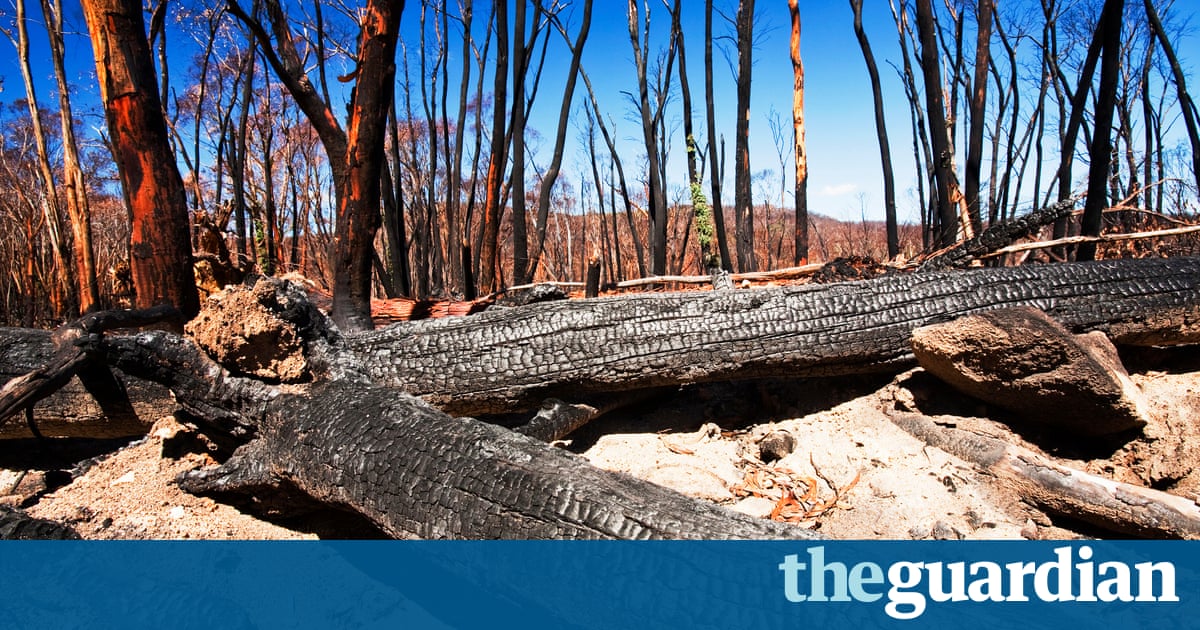 From Floods To Forest Fires A Warming Planet In Pictures Environment The Guardian