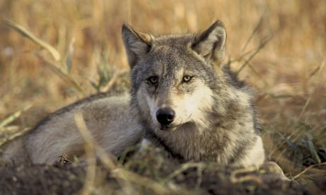 Has physics cried wolf too often?