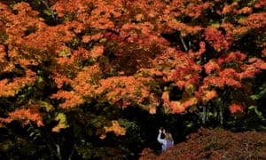 A visitor at Westonbirt Arboretum.