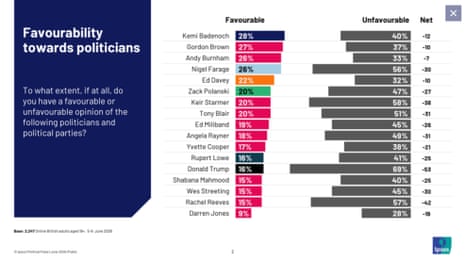Favourability polling on politicians