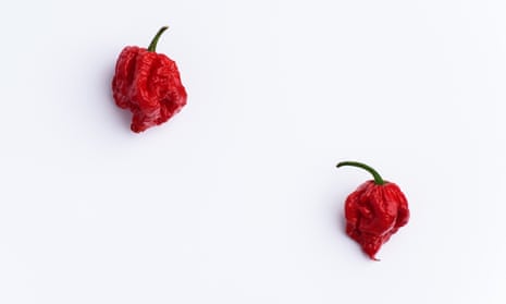 Meet Pepper X: Now The Spiciest Chilli In The World