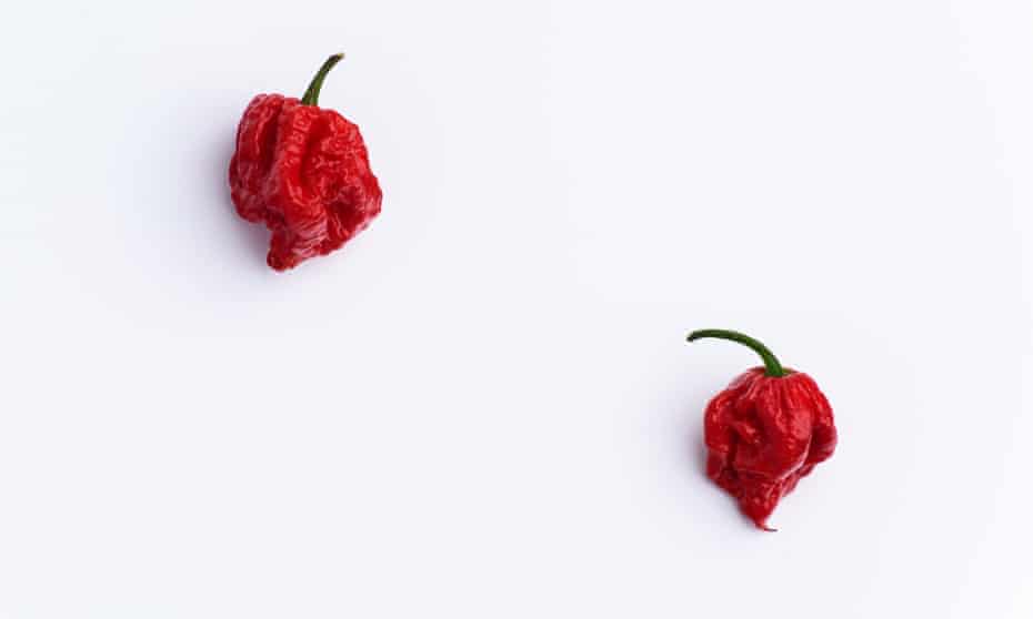 Carolina Reaper Hot Chilli Peppers: ‘You can effectively map your GI tract by feeling how it moves.’
