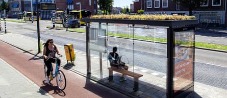 A green roof is seen on a bus stop in Utrecht