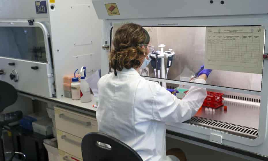 A scientist at work at the Oxford Vaccine Group’s laboratory.