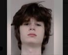 Illinois man arrested over alleged plot to carry out mass shooting, police say