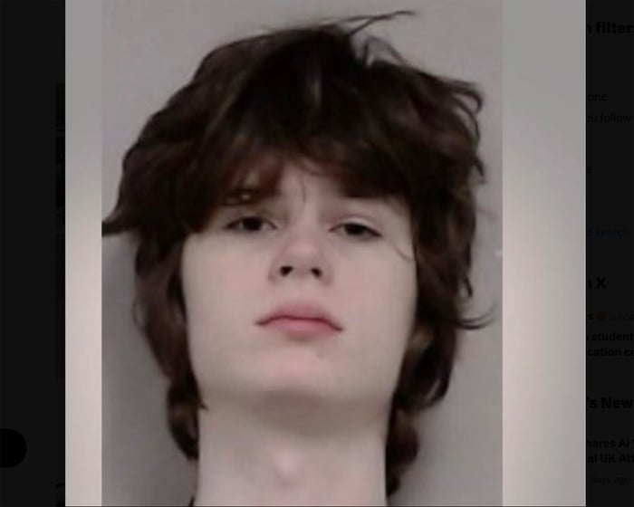 Illinois man arrested over alleged plot to carry out mass shooting, police say