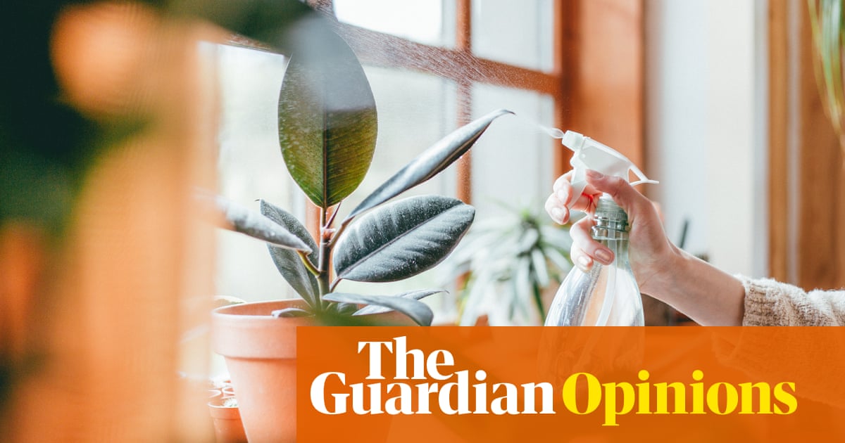 My sister has become a great gardener – and I have never felt so betrayed – The Guardian