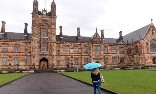 Sydney University under fire for vet scholarship giving preference to males  | Australian universities | The Guardian