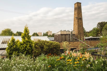 The Wolves Lane Flower Company city farm.