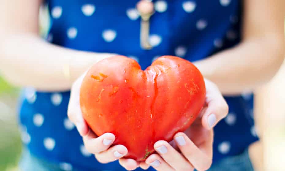 Heart shaped tomatoGettyImages-516154177