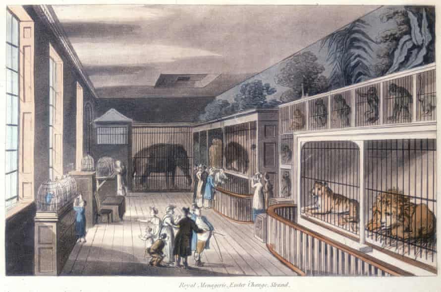 Ménagerie royale, Exeter 'Change, Strand, Londres, c1820 ;  aquatinte d'après Thomas Rowlandson.