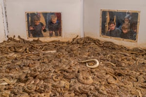 Children adjacent done 2 solid windows astatine a carpet of snakes changeable from inside