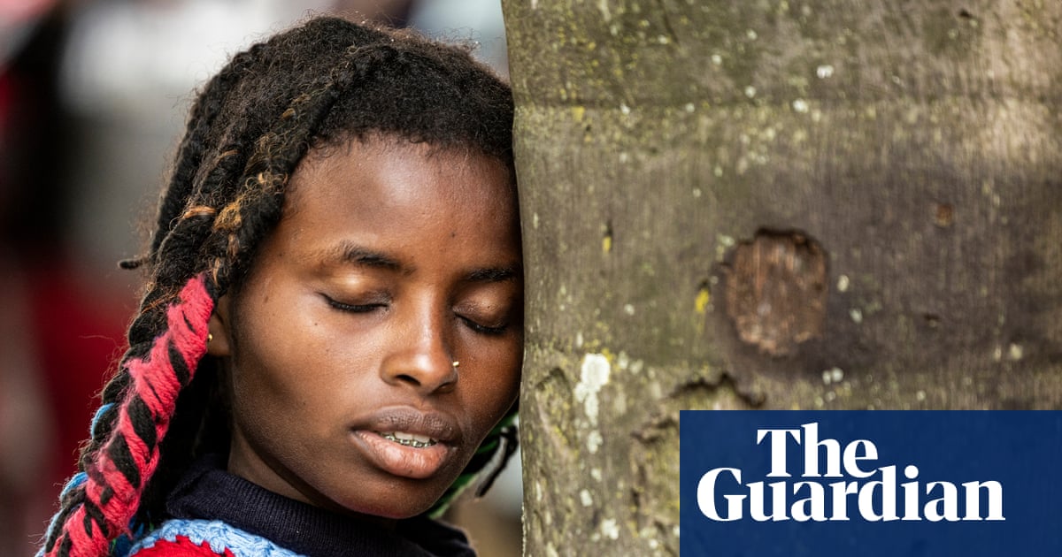 EU legislation intended to fight deforestation has been effectively ‘dismantled’