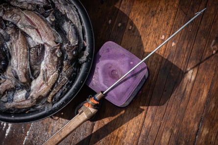 Some fish in a bucket and a fishing spear.