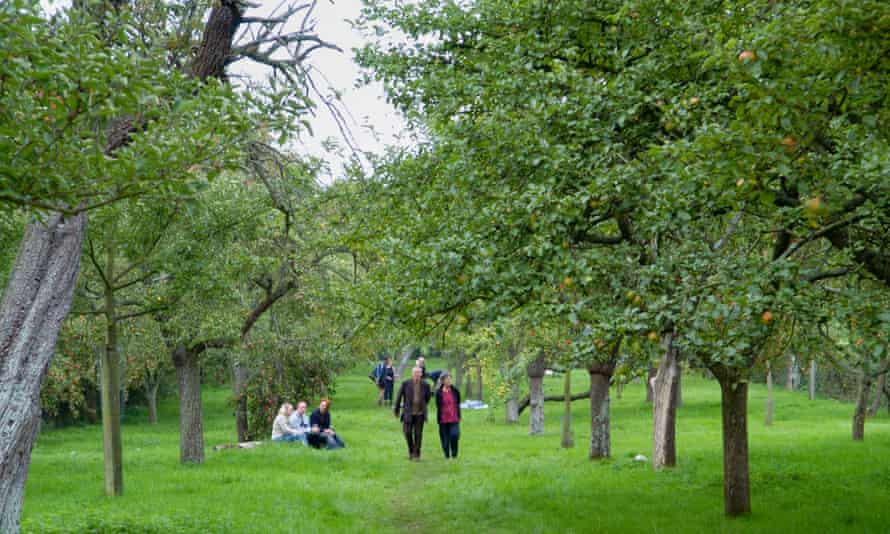 Los visitantes de Greggs Pit Cider Apple Orchard en el día de la Gran Manzana en Much Marcle Herefordshire Inglaterra