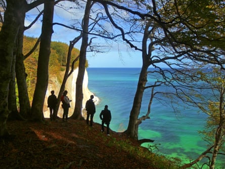 Silhouetted people and trees looking towards steep chalk cliffs and a bright blue and green sea