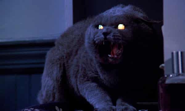 Purr Evil Cats With Hidden Agendas Ranked Film The Guardian