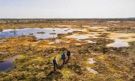 Bog hiking across Kõnnu Suursoo.