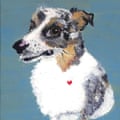 A painted portrait of Luke the Australian shepherd dog.