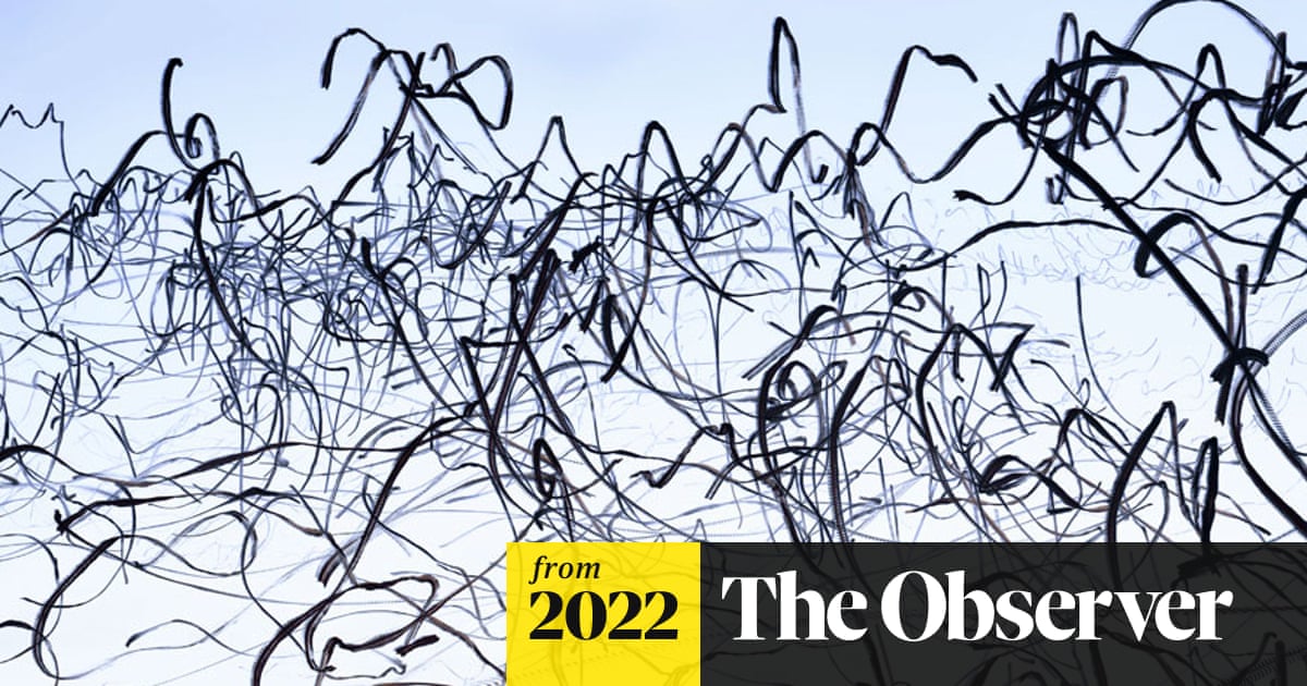 The labyrinthine patterns traced by birds on the wing – in pictures