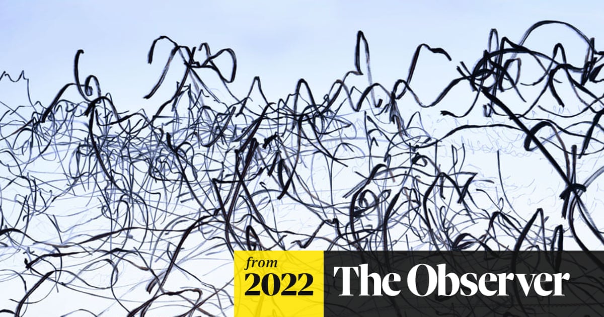 The labyrinthine patterns traced by birds on the wing – in pictures