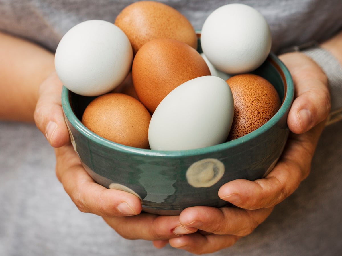 In praise of eggs: 'Use them like a broom to sweep everything together' |  Eggs | The Guardian