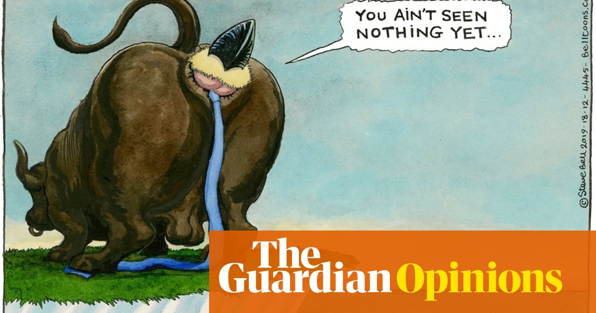 Steve Bell On Boris Johnson S Message To The Country Cartoon Opinion The Guardian