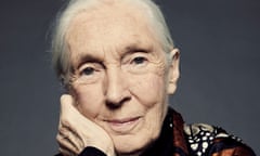 55th New York Film Festival - Portraits<br>British primatologist, ethologist, anthropologist, and UN Messenger of Peace Jane Goodall of the film 'Jane' poses for a portrait at the 55th New York Film Festival on October 5, 2017. (Photo by Erik Tanner/Contour by Getty Images)