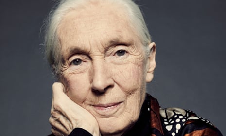 ‘I drink a whisky every night. It’s a ritual. Mum and I used to have a small glass together at home’: Jane Goodall.