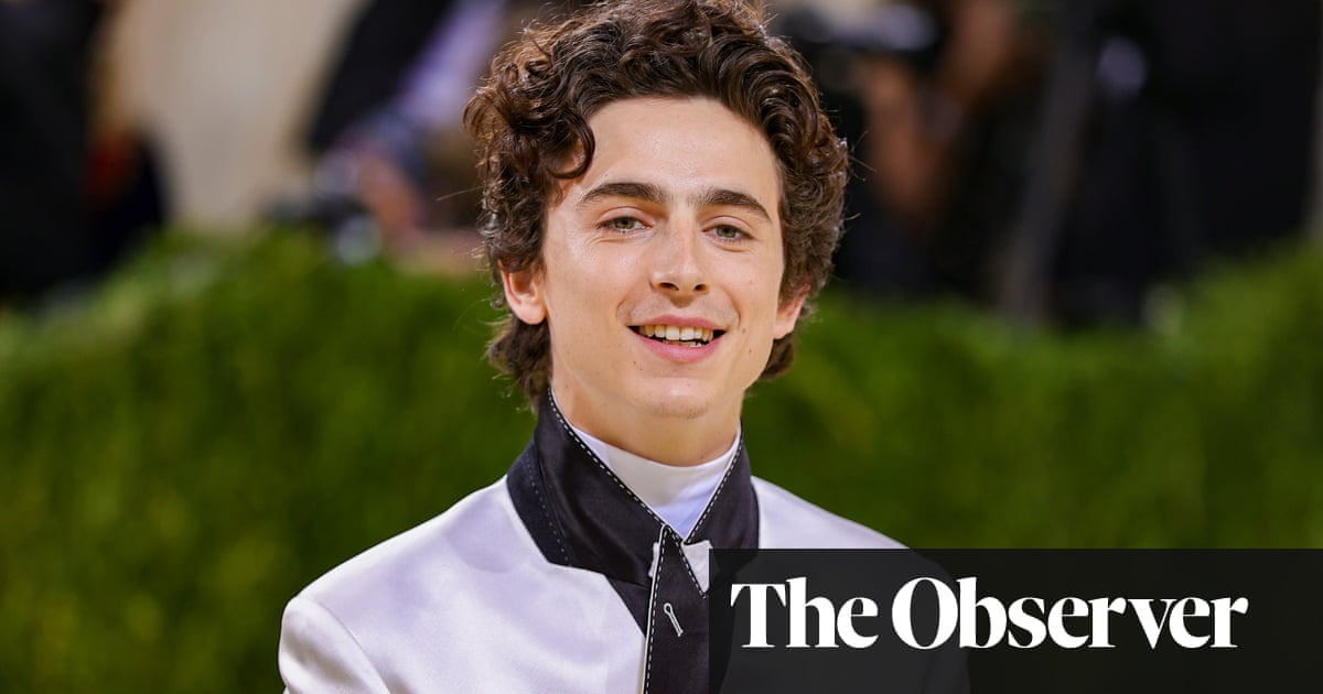 Timothée Chalamet: how the prince of indie grew into a multiplex star