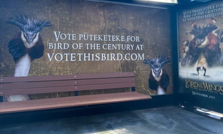 A billboard at a bus stop promotes comedian John Oliver’s campaign for the puteketeke to be named New Zealand’s bird of the century.