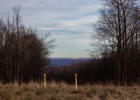 Yellow markers used to identify underground natural gas pipelines stand in a pipeline clearing leading to CPV Fairview Energy Center in Jackson Township.