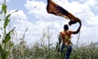 How war threatens Ethiopia's struggle against worst locust swarm in 25 years