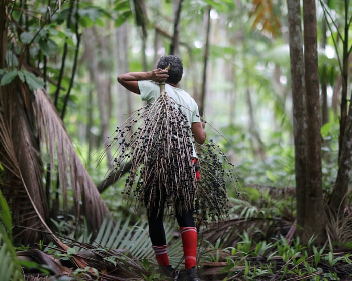 Revisited: How to save the Amazon episode two: the magic and mystery – podcast