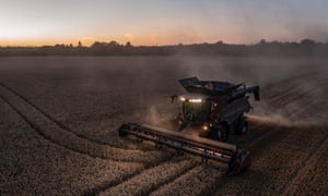 Lyminge, UK: A combine harvests wheat in fields a month early with climate change playing a major part