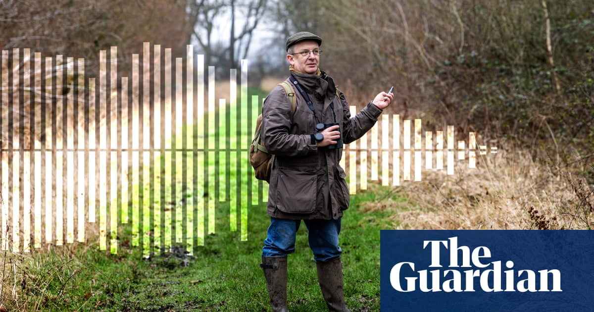 ‘These birds are telling us something serious is happening’: the songbirds disappearing from Britain’s woods | Birds