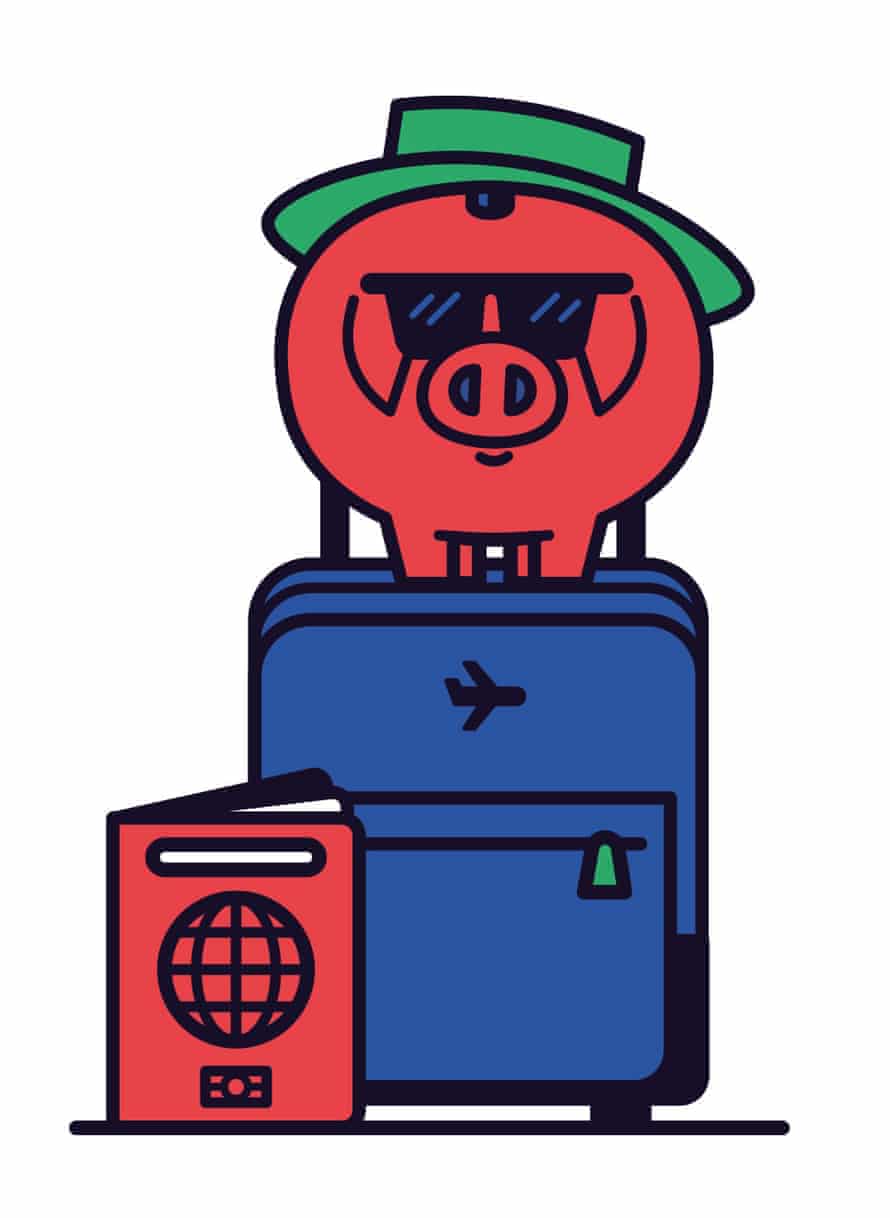 Sort your finance passport pig