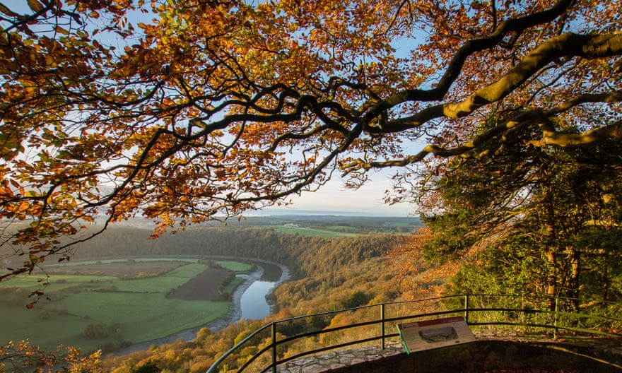 Eagle’s Nest viewpoint in the Forest of Dean.