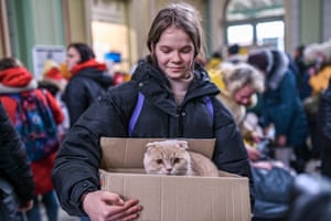 A girl carries her cat in a cardboard box