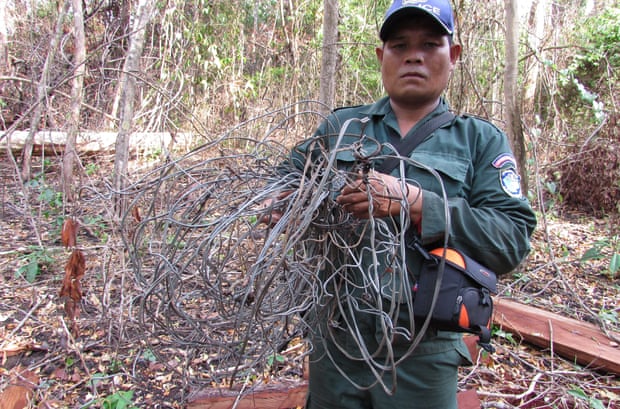 Patrol ranger with confiscated wire snares, Mondulkiri Cambodia.