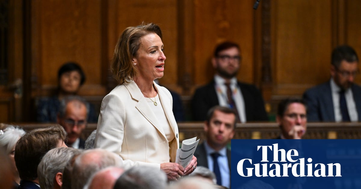 Reform UK row as party chair labels new MP's call for a burqa ban dumb'