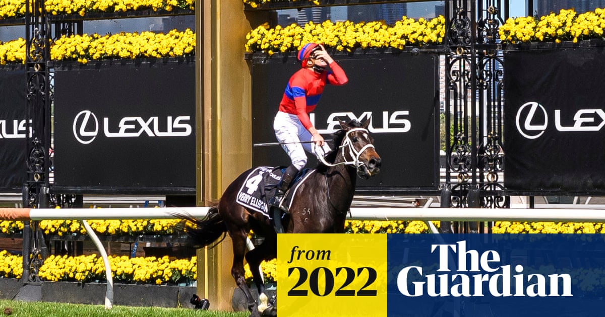 www.theguardian.com