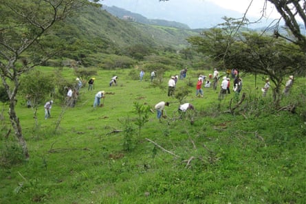 A group of people digging up ground for planting in a green rural valley