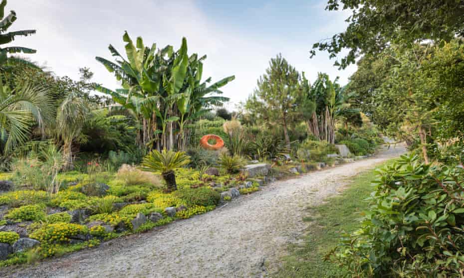 In the dry garden a sunny bank brims with Cycas revoluta, bananas, Butia capitata and Xanthorrhoea glauca (known as the grass tree), and a mixture of succulents.