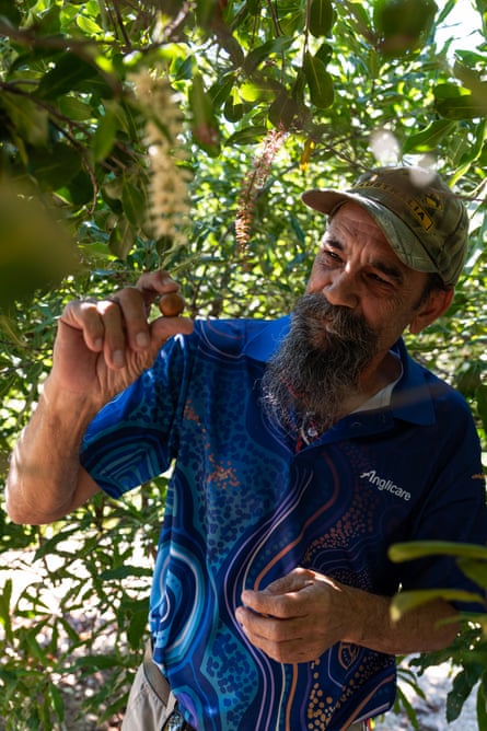 Russell Bennet stands under flowering foliage holding a macadamia nut