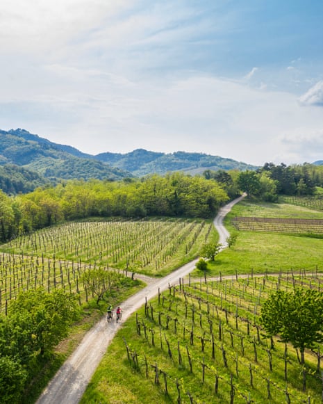 Two cyclists ride a gravel path through vineyards, with forested hills beyond in Slovenia's Vipava valley.