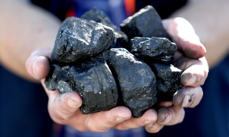 Pieces of coal