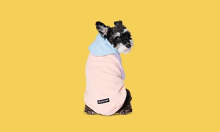 Doggie hoodie